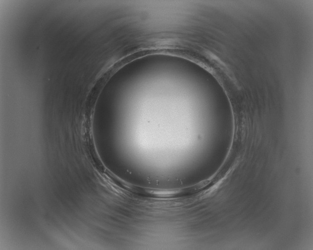 X0000072511449200607141120