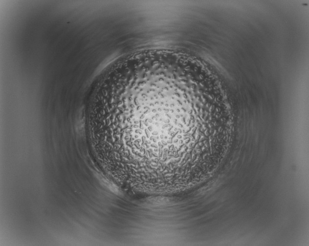 X0000072511450200607141120