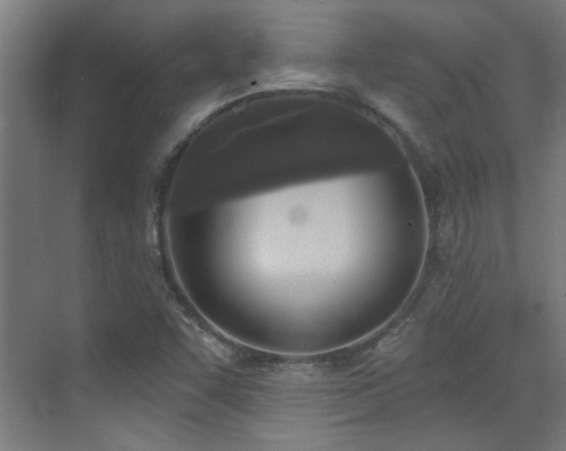 X0000072511455200607141119