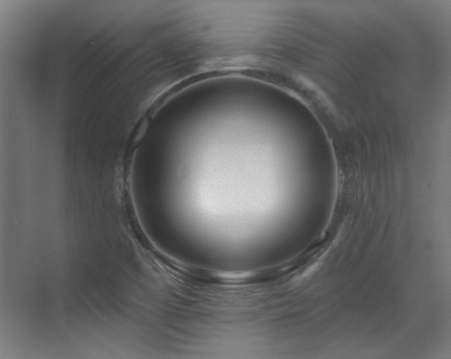 X0000072511457200607141119
