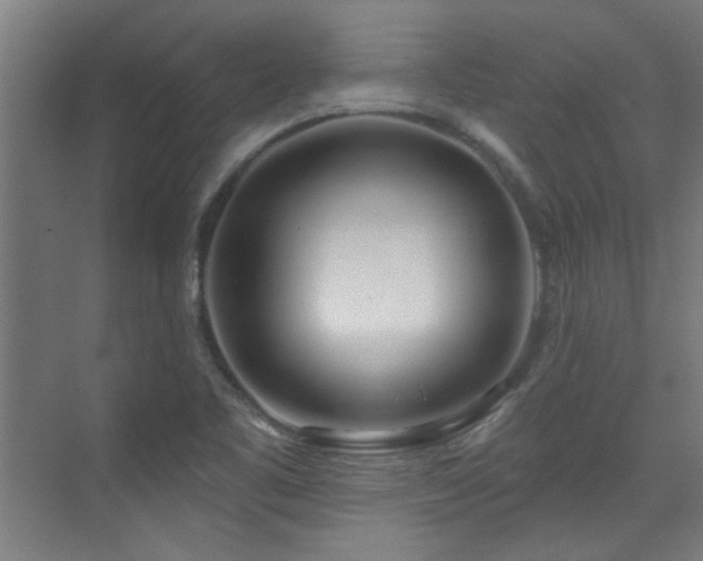 X0000072511461200607141119