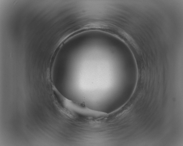 X0000072511465200607141119