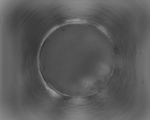 X0000072511474200607141119