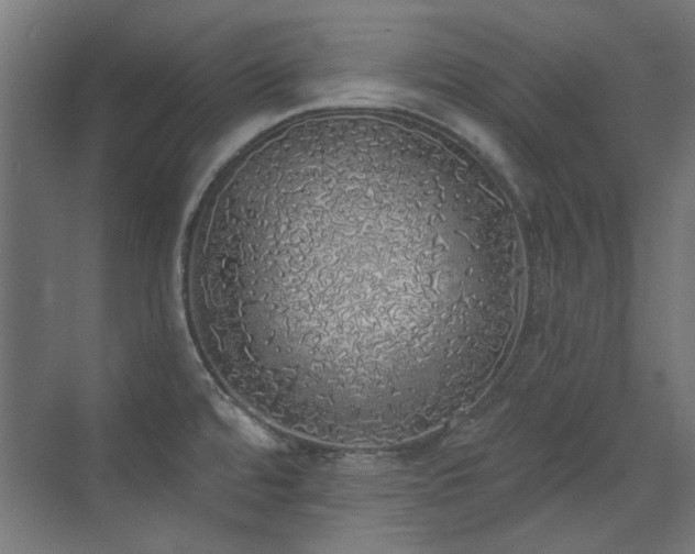 X0000072511480200607141119