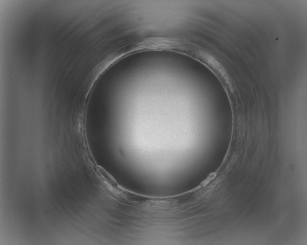 X0000072511481200607141119