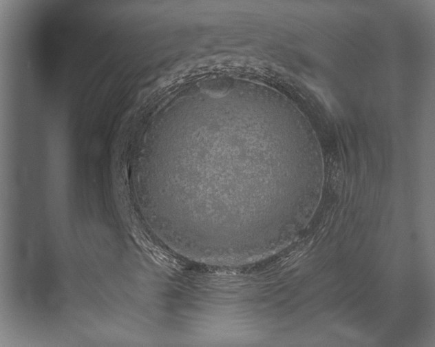 X0000072511489200607141118