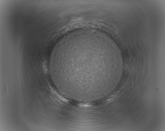 X0000072511490200607141118