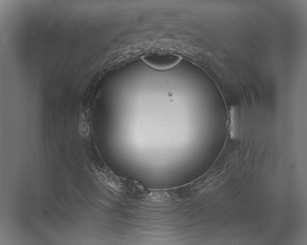 X0000072511491200607141118