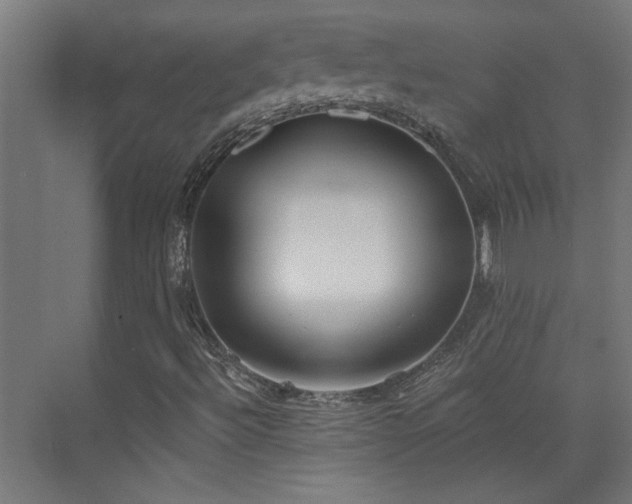 X0000072511492200607141118