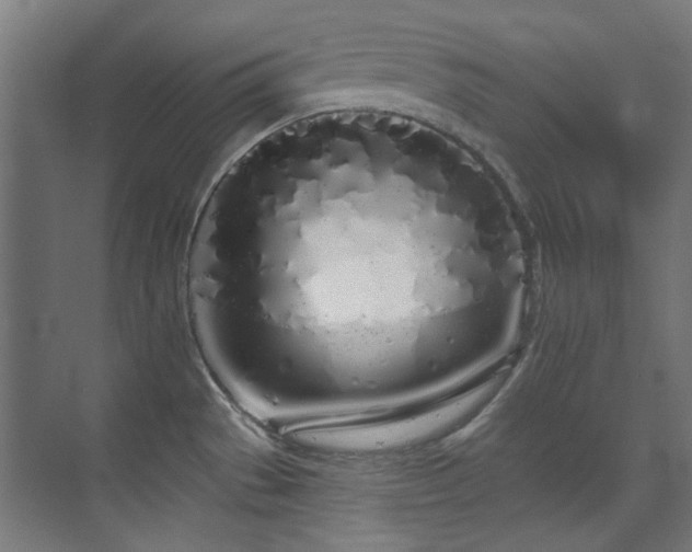 X0000072511529200607141119