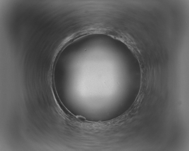 X0000072510003200607211409