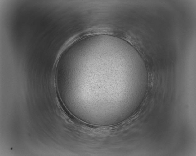 X0000072510004200607211409