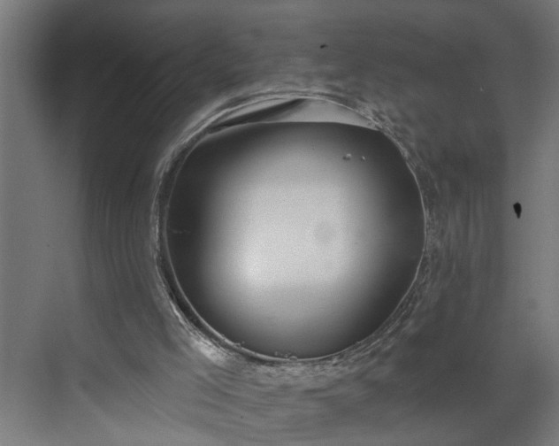 X0000072510005200607211409