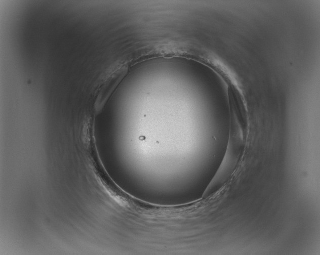 X0000072510009200607211409