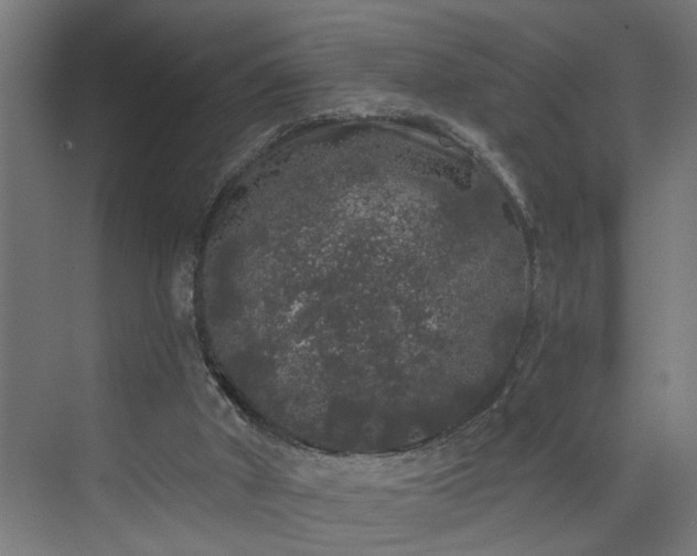 X0000072510010200607211409