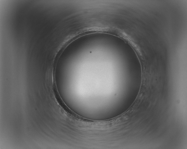 X0000072510011200607211409