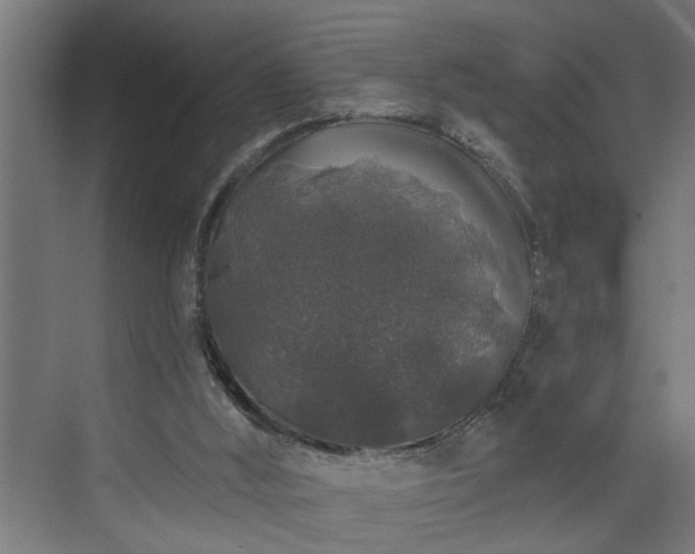 X0000072510012200607211409