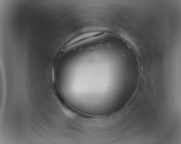 X0000072510013200607211409