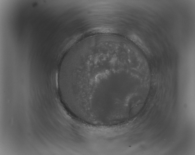 X0000072510014200607211409