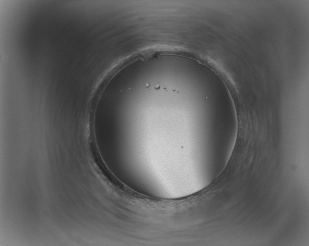 X0000072510015200607211409