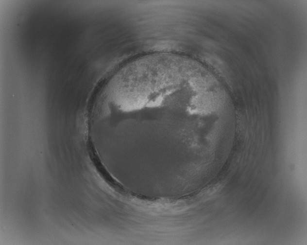 X0000072510016200607211409