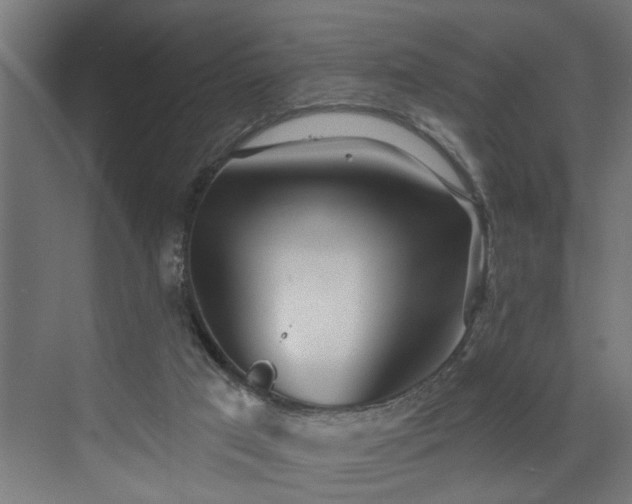 X0000072510017200607211409