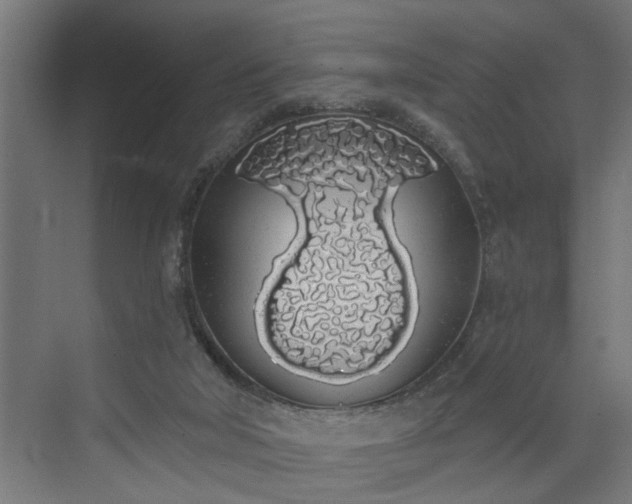 X0000072510018200607211409