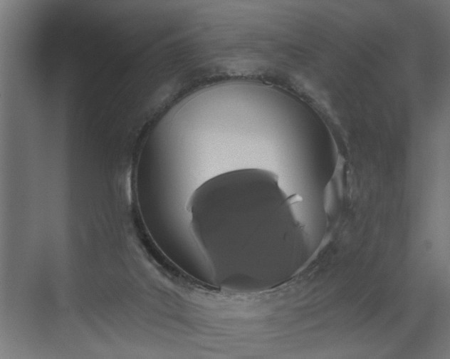 X0000072510019200607211409