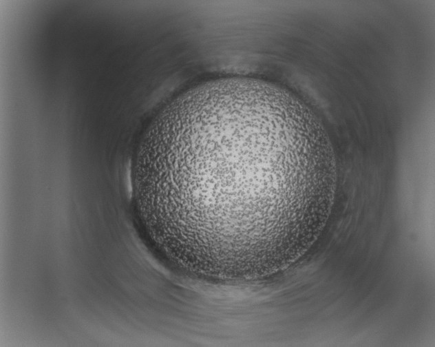 X0000072510020200607211409