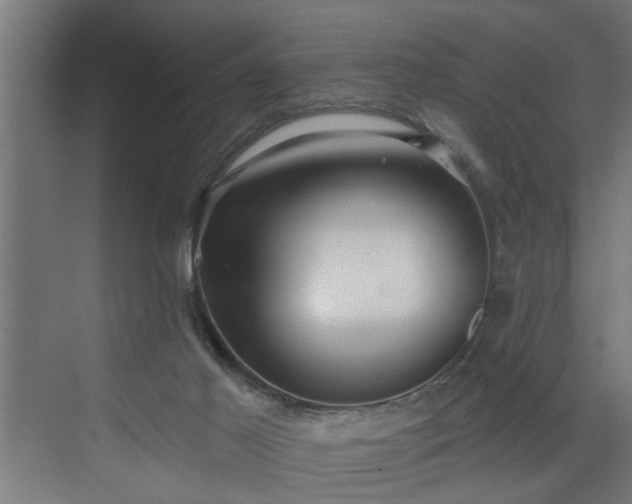 X0000072510021200607211409