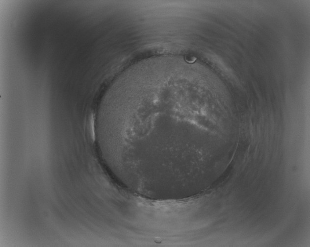 X0000072510022200607211409