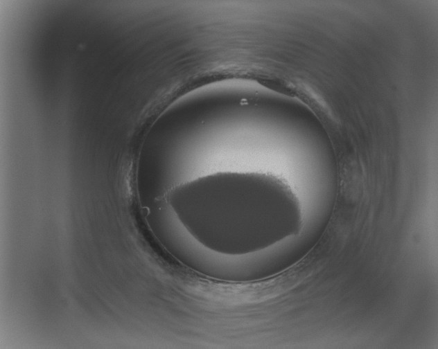 X0000072510023200607211409