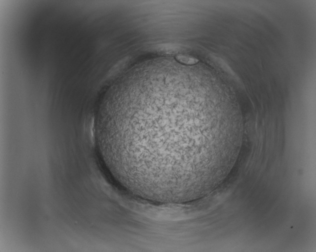 X0000072510024200607211409