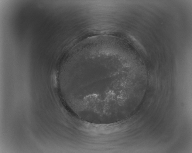 X0000072510026200607211409