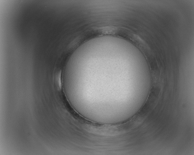 X0000072510028200607211409