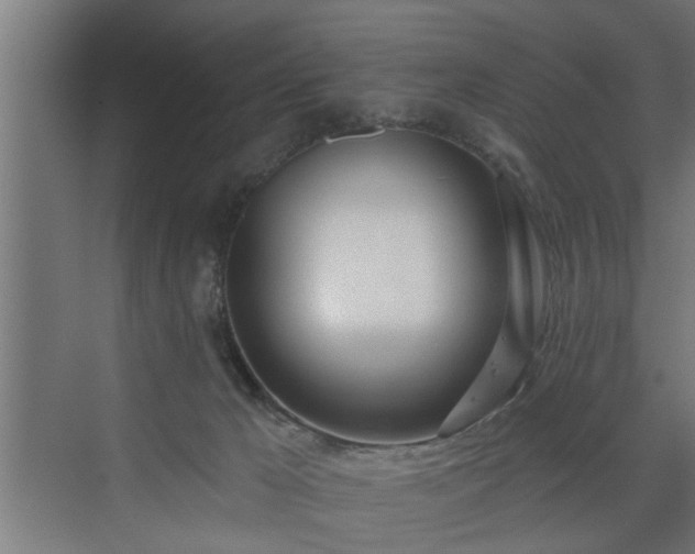 X0000072510029200607211409