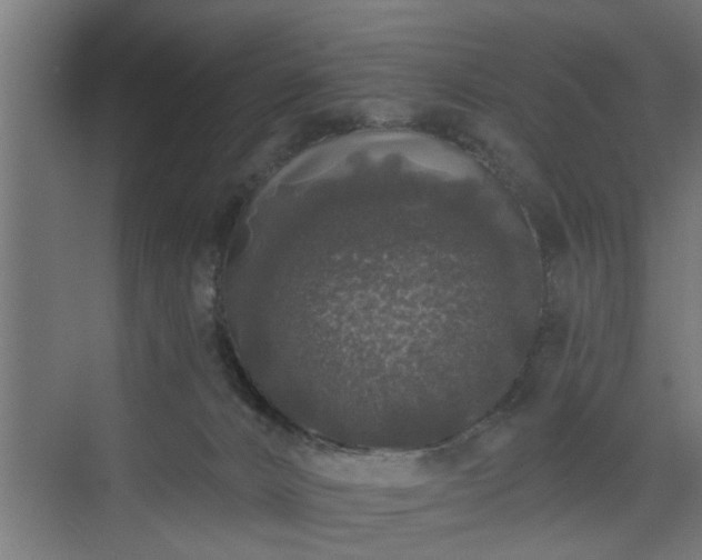 X0000072510032200607211409