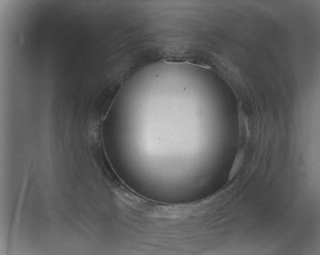 X0000072510033200607211409