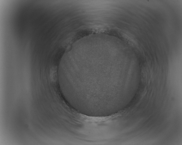 X0000072510034200607211409