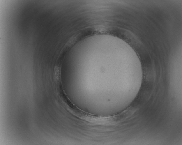 X0000072510036200607211409