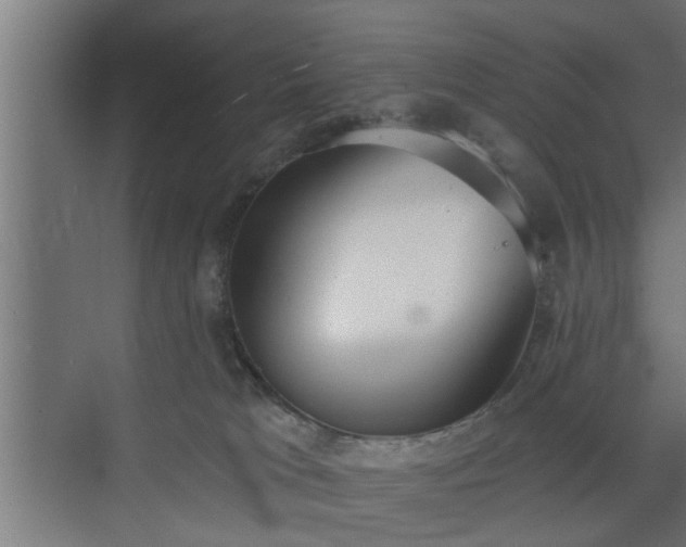 X0000072510037200607211409