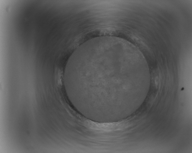 X0000072510038200607211409