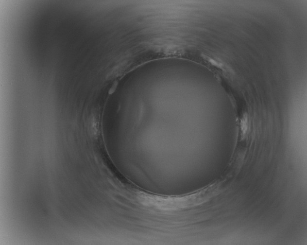 X0000072510039200607211409