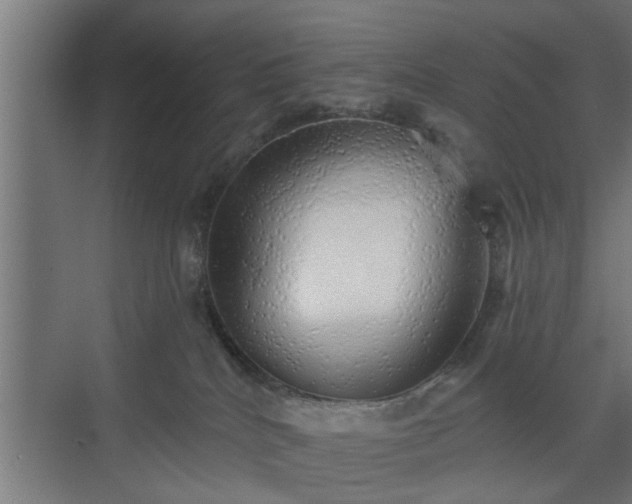 X0000072510040200607211409