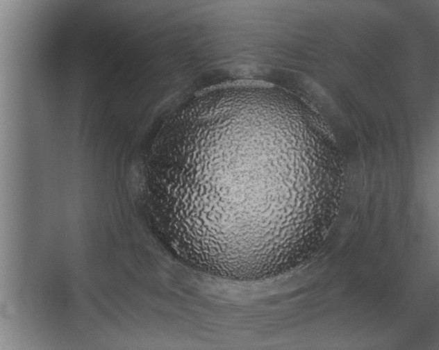 X0000072510043200607211409