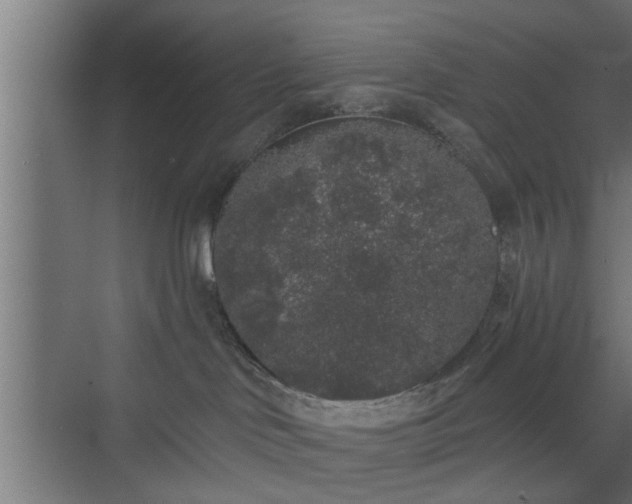 X0000072510046200607211409