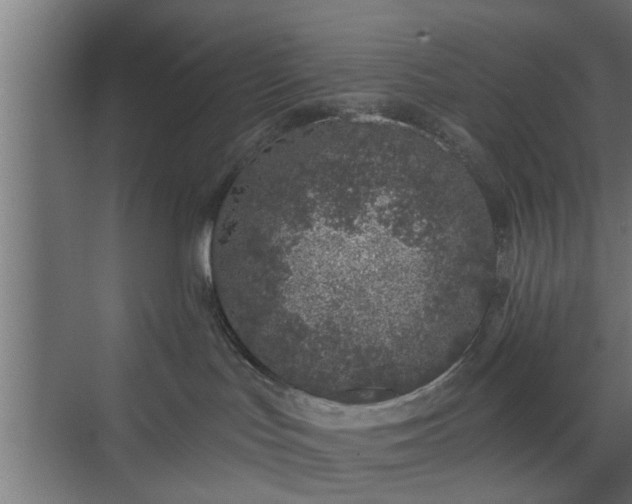 X0000072510047200607211409