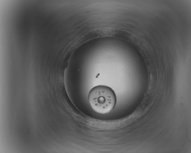 X0000072510048200607211409