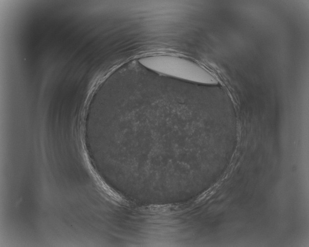 X0000072510049200607211408