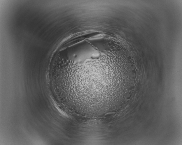 X0000072510050200607211408